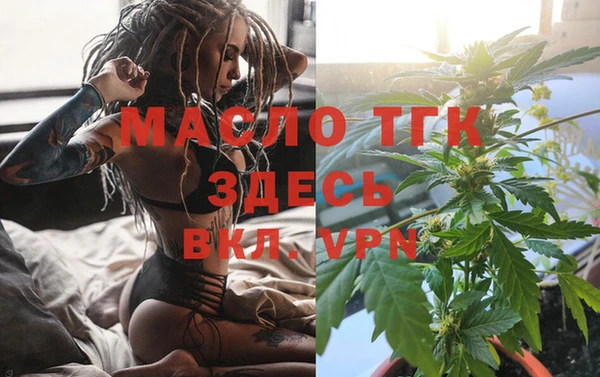 дживик Абинск