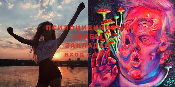 амфетамин Алексин